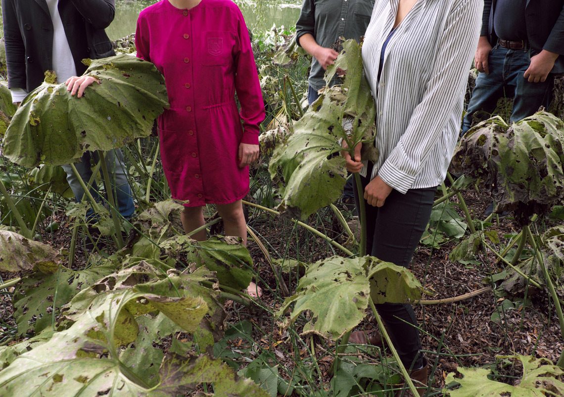 Friends Of Gas – Carrara