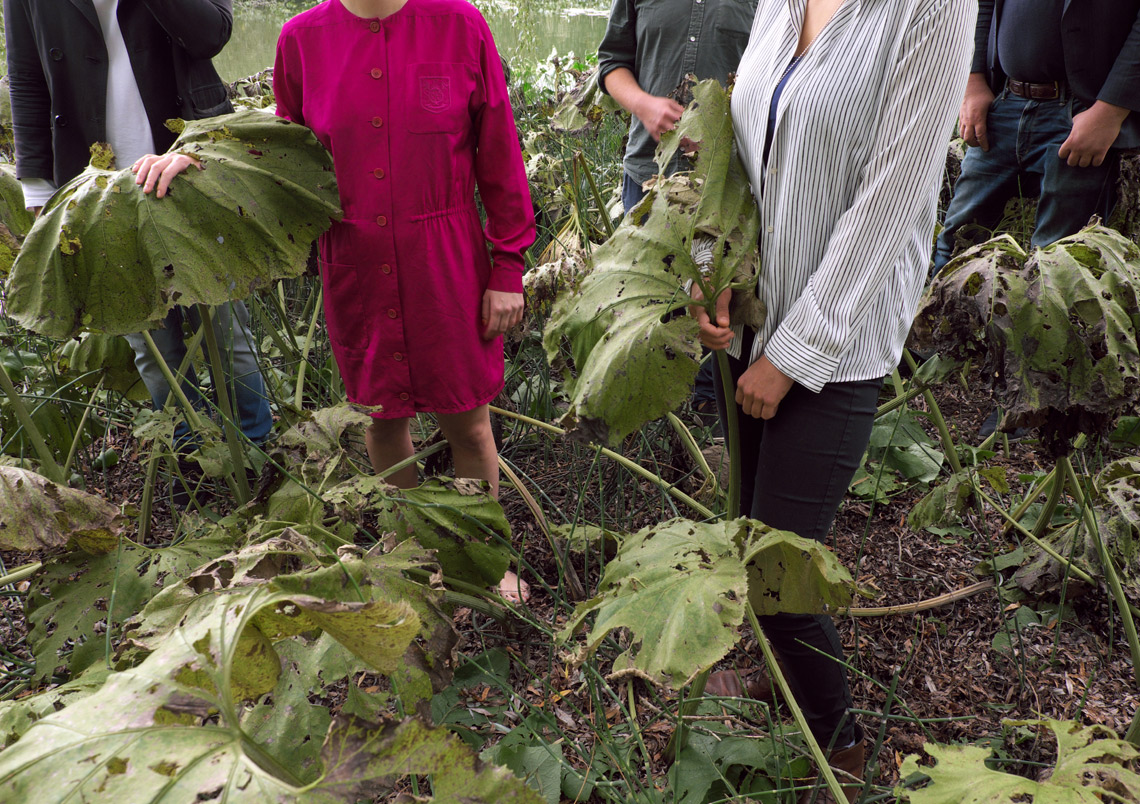 Friends Of Gas – Carrara