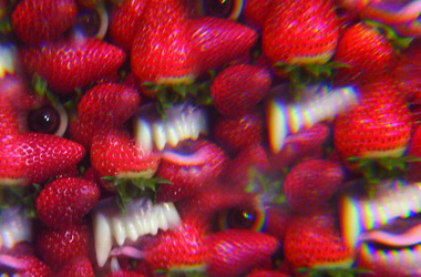 Thee Oh Sees – Floating Coffin